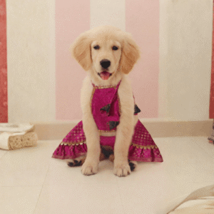 Pink Pari