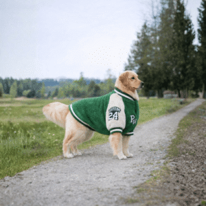Woolen jacket