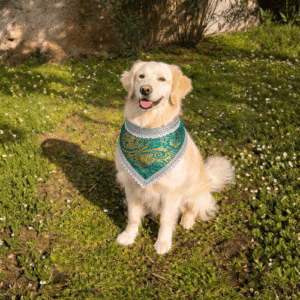 Festive bandana