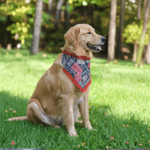 Causal Bandana