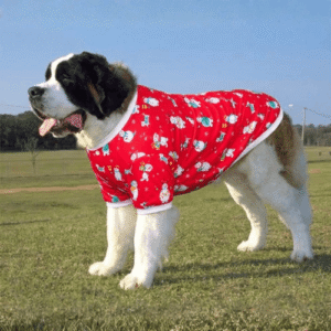 Santa Paws