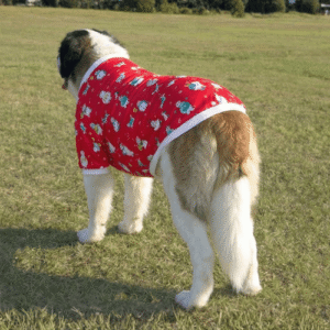 Santa Paws