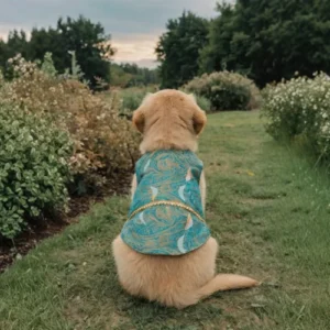 Teal Prince